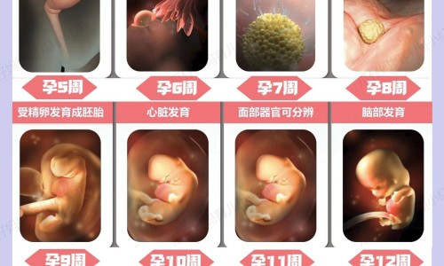 早孕期晚上睡不着正常吗-早孕晚上睡眠不好影响吗网 - 网站提供早孕晚上睡不着觉影响胎儿吗小常识、怀孕早期晚上睡不着正常吗