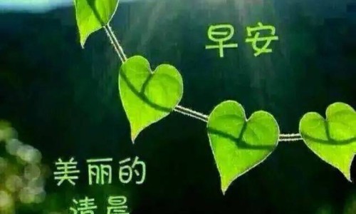 孕早期晚上睡眠不好的原因-早孕晚上睡眠不好影响吗网 - 网站提供早孕晚上睡不着觉影响胎儿吗小常识、怀孕早期晚上睡不着正常吗